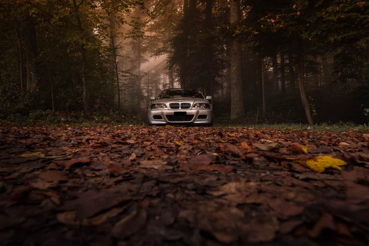 BMW E46